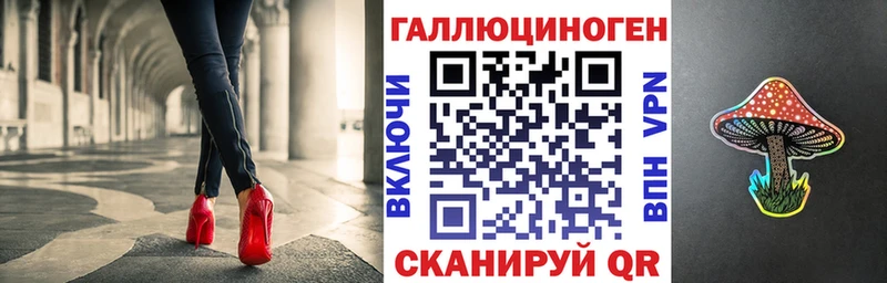 купить   Новоульяновск  Галлюциногенные грибы Psilocybine cubensis 